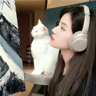 陀枪师姐4